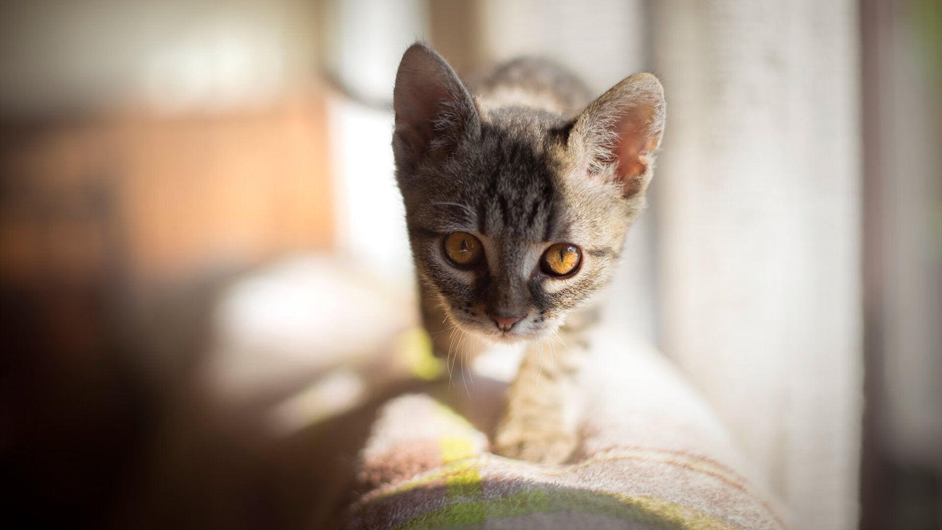 《2025年全球电竞市场规模预测:直逼百亿美元大关》,2020电竞市场规模